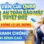 Cá cược có trách nhiệm